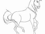 Coloring Horse Pages Herd Spirit Para Colorear Indomable El Corcel Dibujos Getcolorings Caballos sketch template