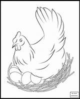 Coloring Chicken Eggs Pages Hen Printable Kids Sheet Sits sketch template