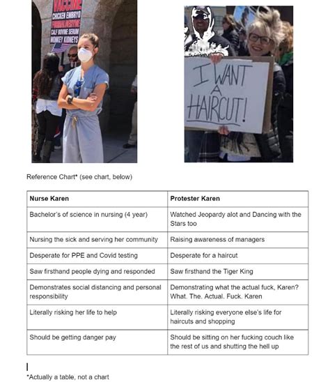 Nurse Karen Vs Protester Karen Chart Shut Up And Take My