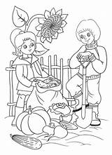 Coloring Pages sketch template