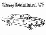 Coloring Pages Chevy Cars Chevelle Muscle Car Copo Color sketch template
