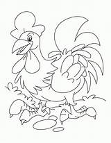 Coloring Rooster Pages Color sketch template