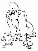 Aap Scimmie Gorilla Mewarnai Kleurplaten Ausmalbilder Monyet Affe Kleurplaat Apen Chimpanzee Gorila 2826 Singe Malvorlage Animierte Coloriages Bewegende Bergerak Animaties sketch template