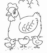 Animal Ferme Animaux Momjunction Coloriages Hen Chickens Cow Coloringfolder Dari sketch template