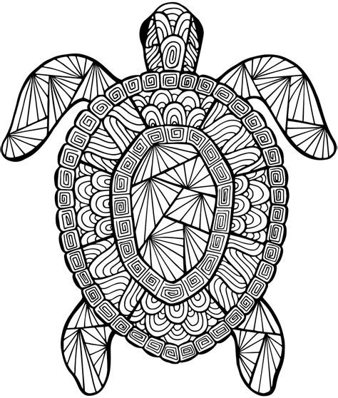 detailed sea turtle  part   collection  adult coloring