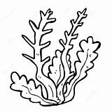 Seaweed Coloring Sea Pages Plants Clip Cartoon Algae Coral Ocean Clipart Grass Drawing Outline Print Printable Kids Color Drawings Vector sketch template