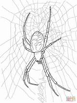 Spider Coloring Pages Garden Yellow Drawing Scary Creepy Printable Doll Redback Spiders Kids Halloween Drawings Supercoloring Clip Getdrawings 1600px 09kb sketch template