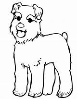 Schnauzer Poodle Cane Animal sketch template