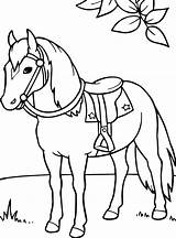 Paarden Kleurplaten Paard Pferde Malvorlage Manege Printen Paardrijden Ausmalbild Kleurplatenenzo Springen Kleuren Wedstrijd Kleurplaatjes Stimmen Dressuur Hond Cheval 1004 1025 sketch template