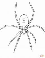 Aranha Spinnen Ausmalbilder Edderkop Ausdrucken Spinne Tegninger Malvorlagen Ausmalbild Kostenlos Malvorlage Spider Edderkopper Spinnennetz sketch template