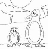 Coloring Penguin Book Penguins Pages Popular Winter sketch template