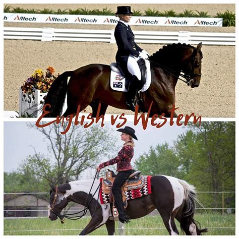 english riding  western riding whats  difference