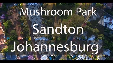 mushroom park sandton johannesburg  drone youtube
