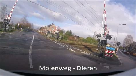 railway crossings  dieren molenweg youtube