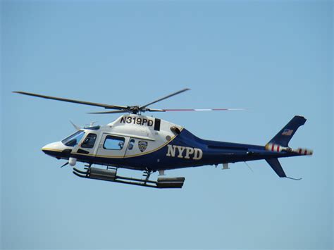 filenypd helicopter npdjpg wikimedia commons