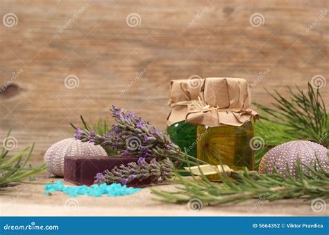 mediterranean spa stock photo image  herbs lavender