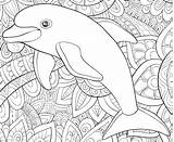 Delfines Dolphin sketch template