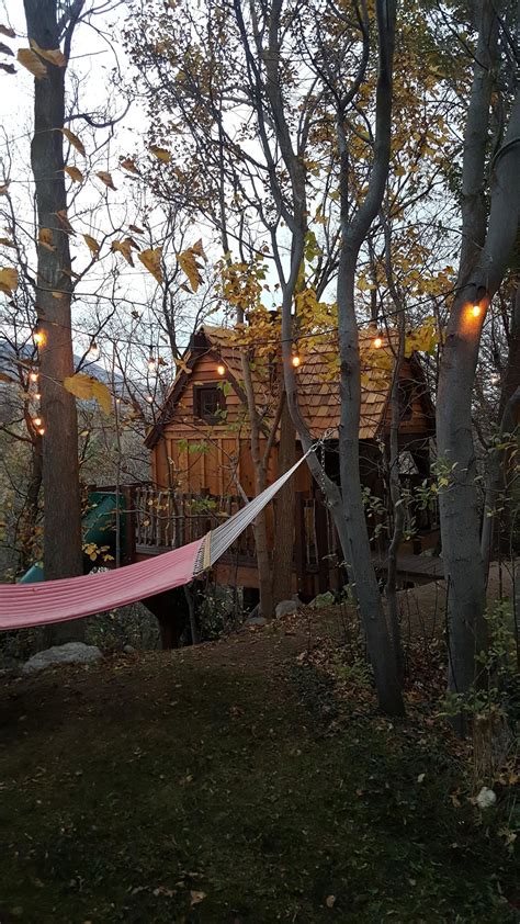 treehouse build doma na derevyakh uyutnye doma stroitelstvo