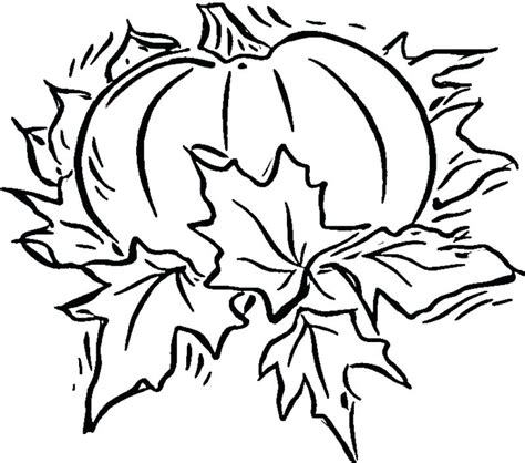pumpkin patch coloring page    clipartmag