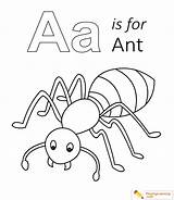 Ant Coloring Letter Drawing Kids Lowercase Uppercase Printable Pages Sheet Printables Letters Alphabet Through Paintingvalley sketch template