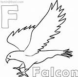 Falcon Coloring Pages Getcolorings Print Color Printable Getdrawings sketch template