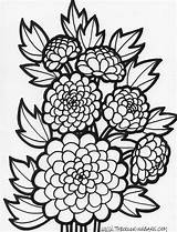 Flower Coloring Pages Hard Difficult Flowers Printable Getcoloringpages sketch template