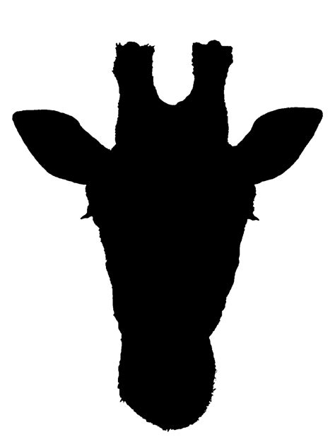 taman nasional kruger siluet jerapah afrika barat animal head garis jerapah fotografi tangan