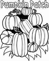 Pumpkin Clipart Line Patch Coloring Library sketch template