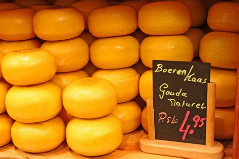 fresh gouda cheese  photo  freeimages