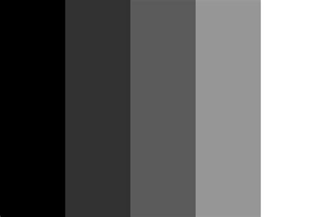 shades  black remake color palette black color palette shades