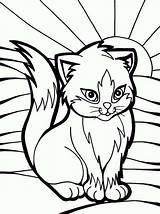 Coloring Mural Cat Kitty Artistic Glass sketch template
