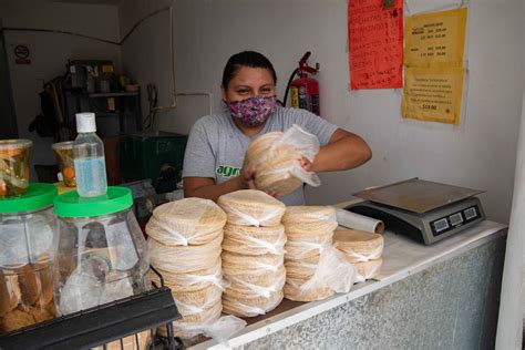 tortillerias ilegales operan en yucatan ofrecen productos de baja