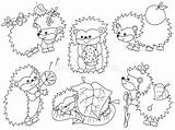 Hedgehogs Istrici Vettore Svegli Fumetto Hedgehog sketch template