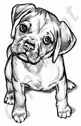 Puggle Drawing Drawings Puppy Zhibit sketch template