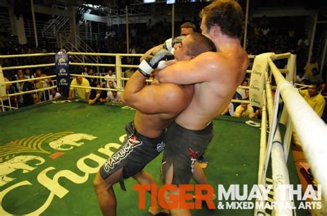 tiger muay thai and mma puts on another mma fight for patong phuket