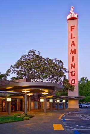 flamingo conference resort spa ahora  antes