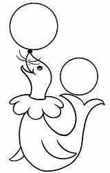 Circo Seal Preschool Robbe Kategorien ähnliche Poplembrancinhas Coloringhome sketch template