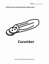 Cucumber Sea Coloring Pages Vegetables Colouring Worksheets Template Kids sketch template