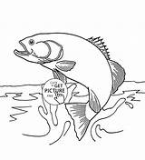 Chinook Salmon sketch template