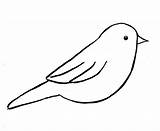 Outlines Chickadee sketch template