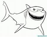 Nemo Shark Tiburon Kolorowanka Druku Rekin Buscando Requin Dory Folhas Pesciolini Konik Páginas Facil Higos Mandalas Aberto Fische Wesoly Malvorlage sketch template