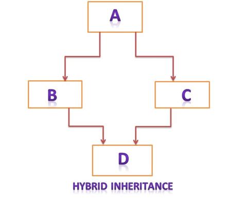 c inheritance introduction programmingknow