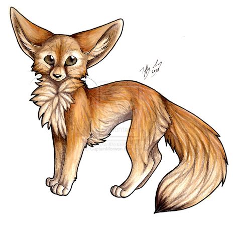 realistic fox drawing  getdrawings