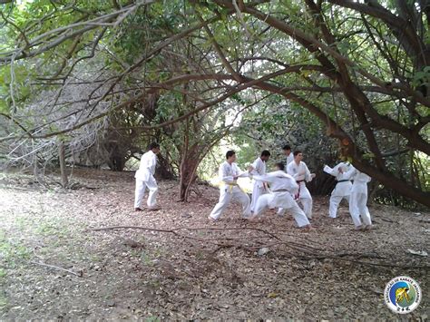 Carnaval Askaja Askaja Associação De Karate Jaguaribe