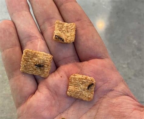 man says he found shrimp tails in cinnamon toast crunch the new york