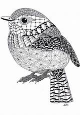 Zentangle Pages Animals Patterns Bird Colouring Animal Easy Coloring Zentangles Mandalas Mandala Simple Template Pattern Drawings Means Nothing Drawing Unique sketch template