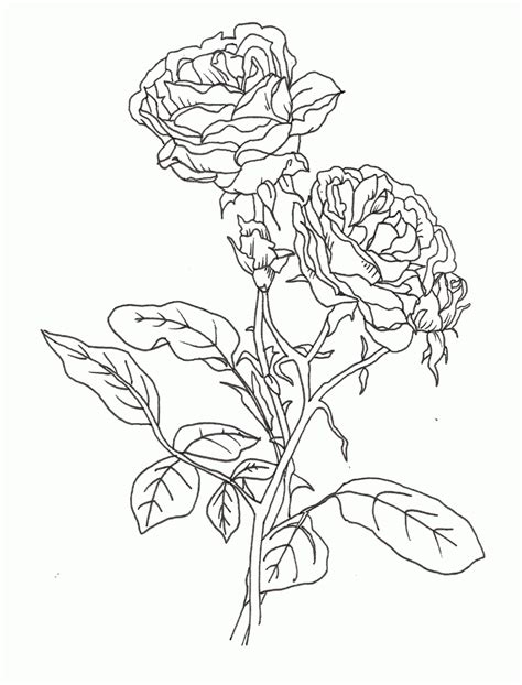 pretty flower coloring pages coloring home