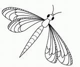 Coloring Dragonfly Popular sketch template