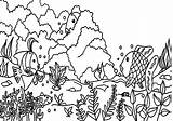 Coloring Reef Pages Coral Ecosystem Ocean Drawing Barrier Great Fish Underwater Getdrawings Getcolorings sketch template