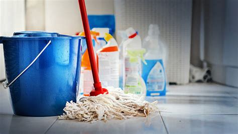 royalty  cleaning equipment pictures images  stock  istock